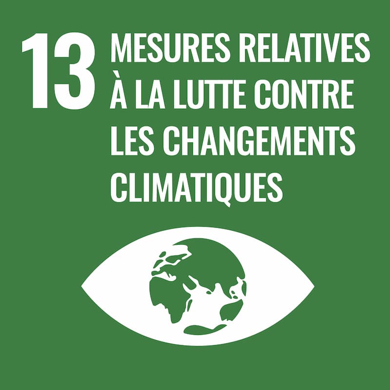 13 - Action climatique