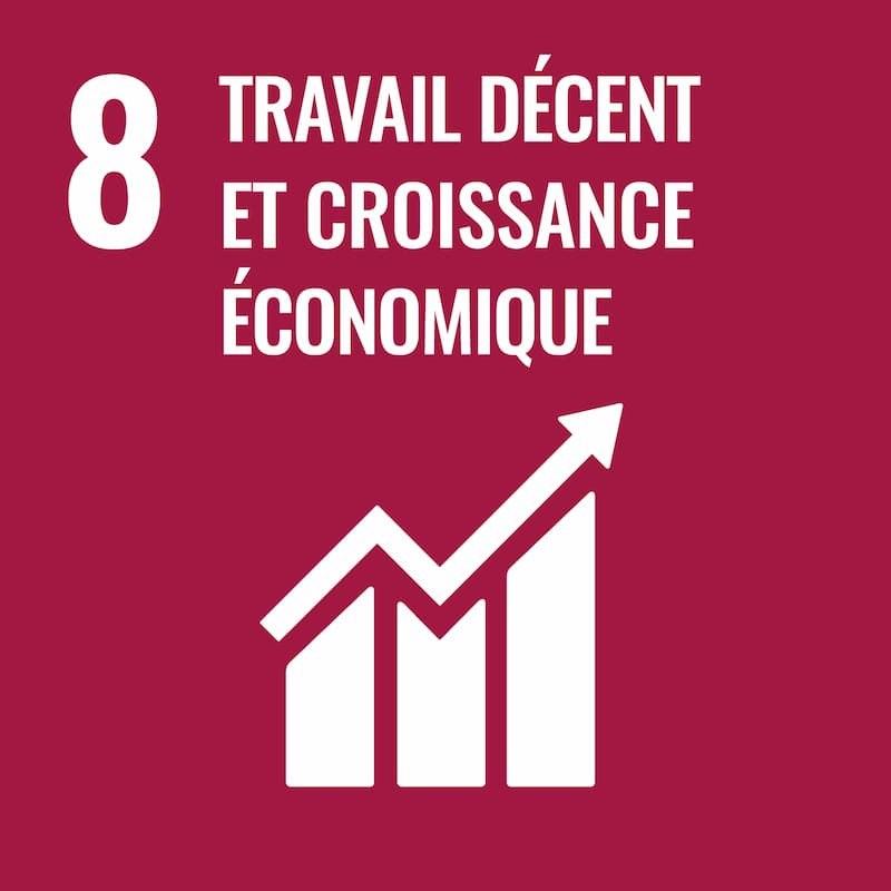 8 - Travail décent et croissance économique